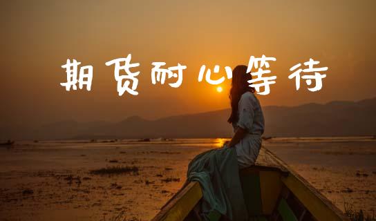期货耐心等待_https://www.gzshoujun.com_农产品期货_第1张