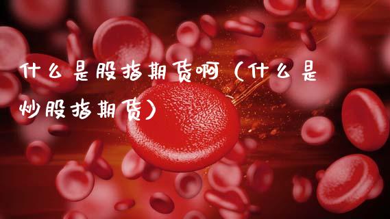 什么是股指期货啊（什么是炒股指期货）_https://www.gzshoujun.com_期货行情_第1张