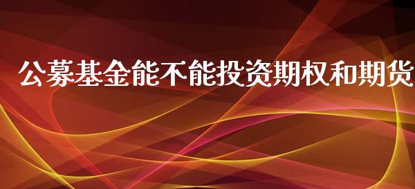 公募基金能不能投资期权和期货_https://www.gzshoujun.com_期货品种_第1张