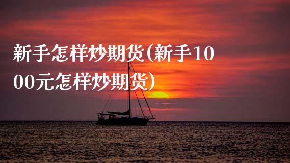 新手怎样炒期货(新手1000元怎样炒期货)_https://www.gzshoujun.com_期货入门_第1张