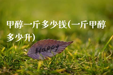 甲醇一斤多少钱(一斤甲醇多少升)_https://www.gzshoujun.com_期货理财_第1张