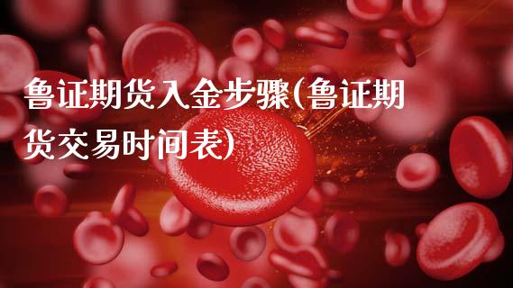 鲁证期货入金步骤(鲁证期货交易时间表)_https://www.gzshoujun.com_期货直播_第1张