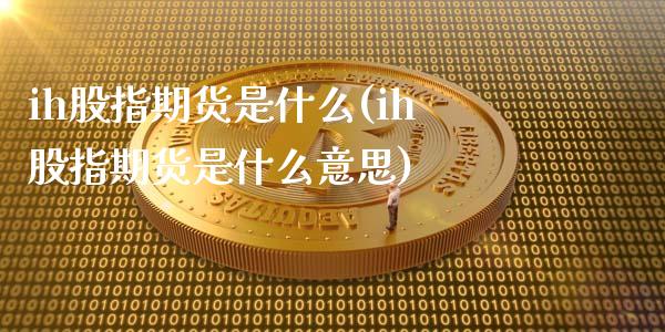ih股指期货是什么(ih股指期货是什么意思)_https://www.gzshoujun.com_期货交易所_第1张