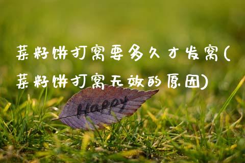菜籽饼打窝要多久才发窝(菜籽饼打窝无效的原因)_https://www.gzshoujun.com_原油期货_第1张