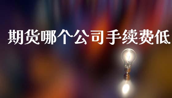 期货哪个手续费低_https://www.gzshoujun.com_期货开户_第1张