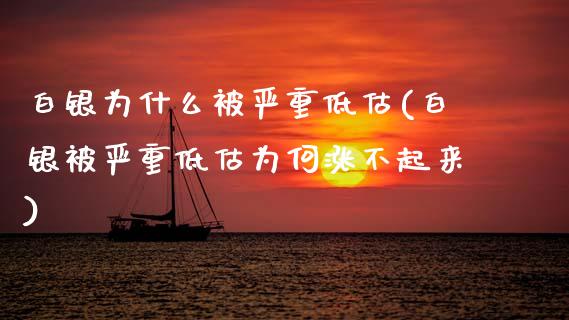 白银为什么被严重低估(白银被严重低估为何涨不起来)_https://www.gzshoujun.com_期货入门_第1张