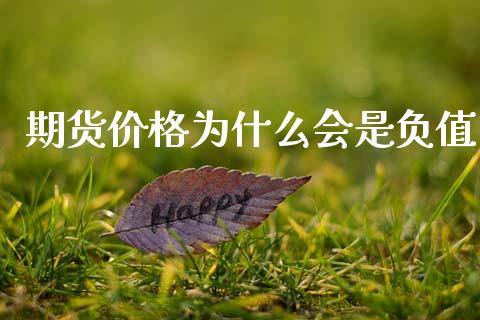 期货价格为什么会是负值_https://www.gzshoujun.com_期货交易所_第1张