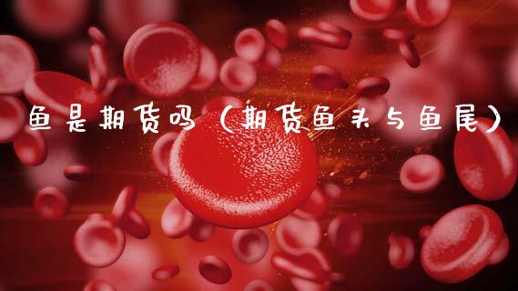 鱼是期货吗（期货鱼头与鱼尾）_https://www.gzshoujun.com_期货交易所_第1张