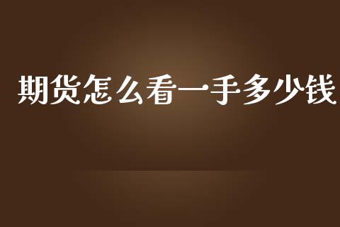 期货怎么看一手多少钱_https://www.gzshoujun.com_期货直播_第1张