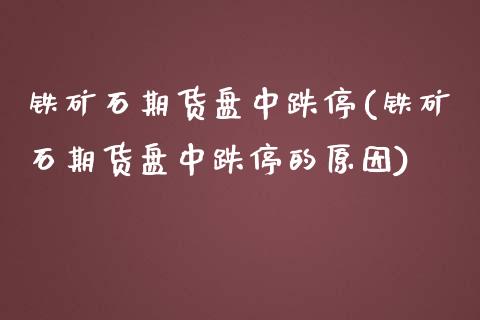 铁矿石期货盘中跌停(铁矿石期货盘中跌停的原因)_https://www.gzshoujun.com_基金理财_第1张