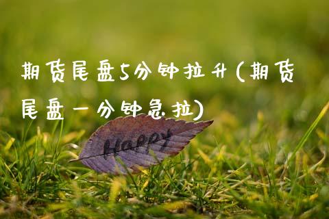 期货尾盘5分钟拉升(期货尾盘一分钟急拉)_https://www.gzshoujun.com_期货行情_第1张