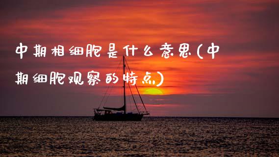 中期相细胞是什么意思(中期细胞观察的特点)_https://www.gzshoujun.com_期货知识_第1张