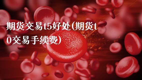期货交易t5好处(期货t0交易手续费)_https://www.gzshoujun.com_期货交易所_第1张