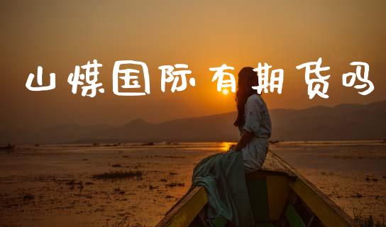 山煤国际有期货吗_https://www.gzshoujun.com_期货交易所_第1张