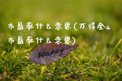 市盈率什么意思(万得全a市盈率什么意思)_https://www.gzshoujun.com_期货理财_第1张