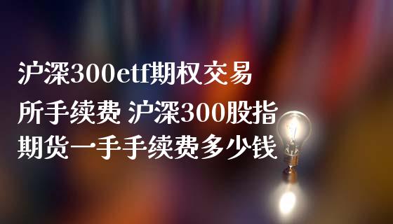 沪深300etf期权交易所手续费 沪深300股指期货一手手续费多少钱_https://www.gzshoujun.com_期货交易所_第1张