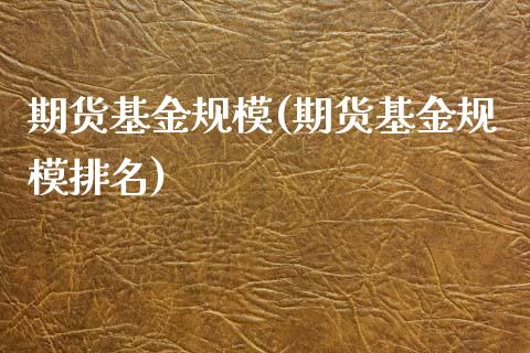 期货基金规模(期货基金规模排名)_https://www.gzshoujun.com_期货交易所_第1张
