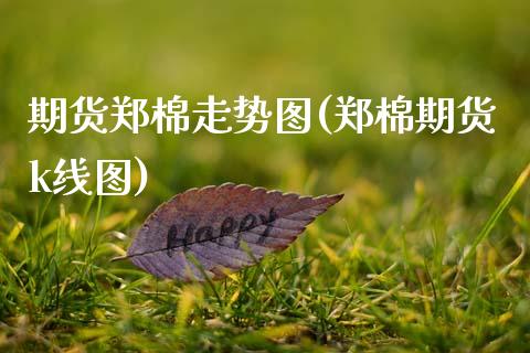 期货郑棉走势图(郑棉期货k线图)_https://www.gzshoujun.com_期货品种_第1张