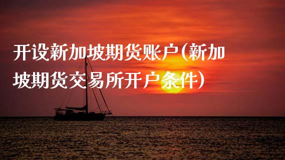 开设新加坡期货账户(新加坡期货交易所开户条件)_https://www.gzshoujun.com_期货行情_第1张