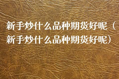 新手炒什么品种期货好呢（新手炒什么品种期货好呢）_https://www.gzshoujun.com_期货理财_第1张