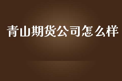 青山期货怎么样_https://www.gzshoujun.com_期货直播_第1张