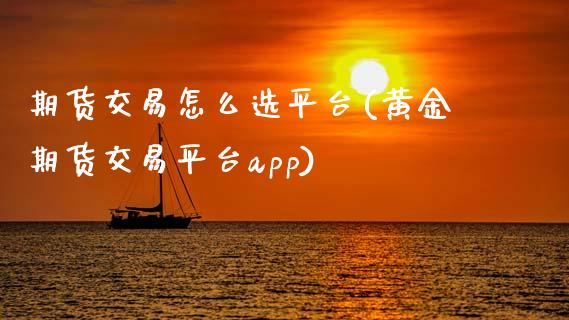 期货交易怎么选平台(黄金期货交易平台app)_https://www.gzshoujun.com_期货直播_第1张