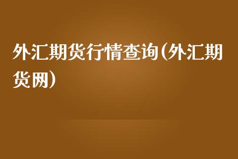 外汇期货行情查询(外汇期货网)_https://www.gzshoujun.com_期货公司_第1张