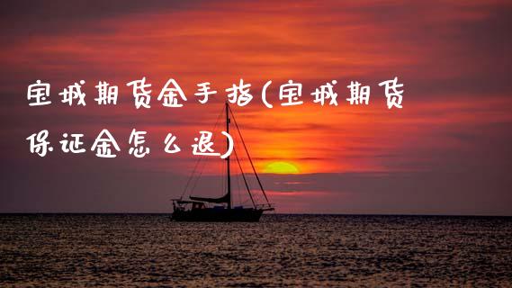宝城期货金手指(宝城期货保证金怎么退)_https://www.gzshoujun.com_期货交易所_第1张