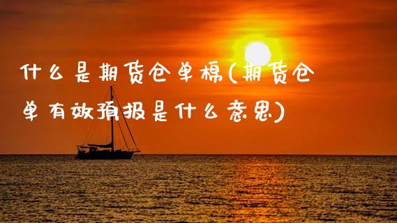什么是期货仓单棉(期货仓单有效预报是什么意思)_https://www.gzshoujun.com_期货直播_第1张