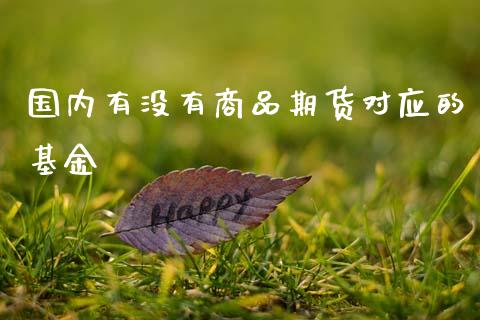 国内有没有商品期货对应的基金_https://www.gzshoujun.com_期货直播_第1张