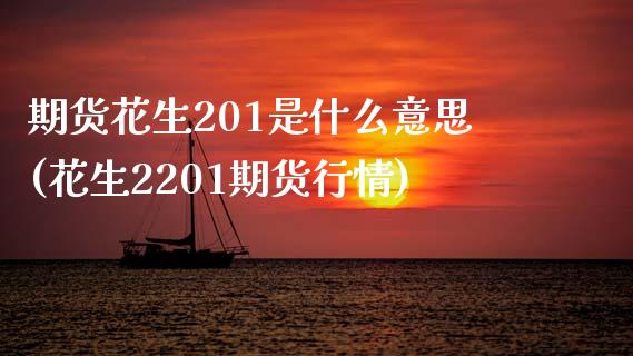 期货花生201是什么意思(花生2201期货行情)_https://www.gzshoujun.com_期货交易所_第1张