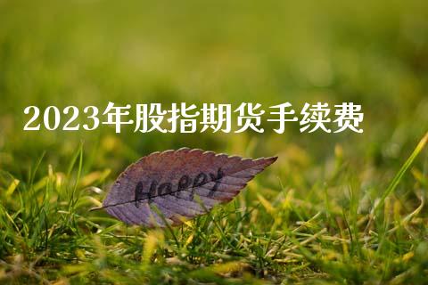 2023年股指期货手续费_https://www.gzshoujun.com_期货直播_第1张