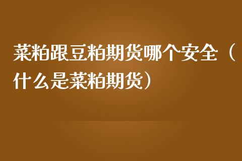 菜粕跟豆粕期货哪个安全（什么是菜粕期货）_https://www.gzshoujun.com_农产品期货_第1张