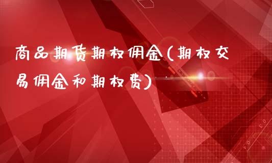 商品期货期权佣金(期权交易佣金和期权费)_https://www.gzshoujun.com_期货行情_第1张