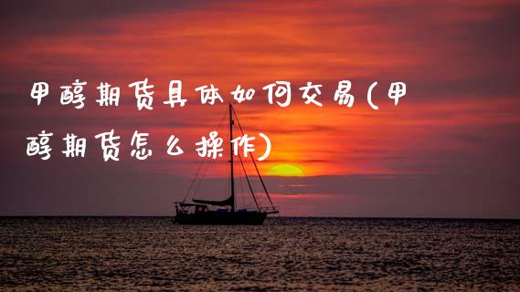 甲醇期货具体如何交易(甲醇期货怎么操作)_https://www.gzshoujun.com_期货交易所_第1张