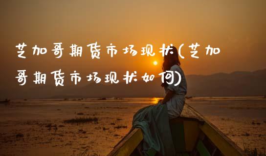 芝加哥期货市场现状(芝加哥期货市场现状如何)_https://www.gzshoujun.com_期货品种_第1张