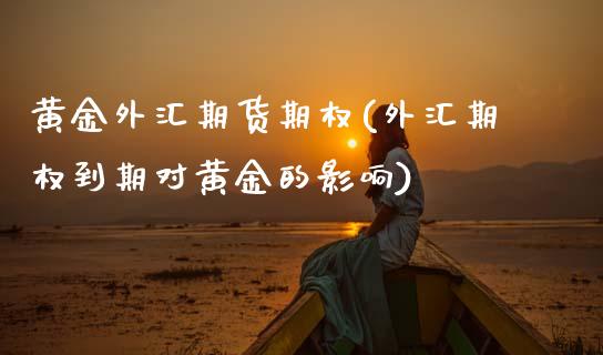 黄金外汇期货期权(外汇期权到期对黄金的影响)_https://www.gzshoujun.com_期货行情_第1张
