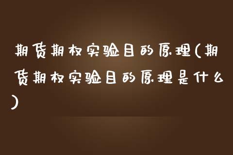 期货期权实验目的原理(期货期权实验目的原理是什么)_https://www.gzshoujun.com_期货交易所_第1张