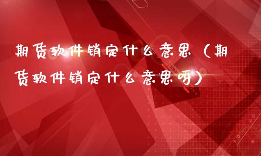 期货软件销定什么意思（期货软件销定什么意思呀）_https://www.gzshoujun.com_期货行情_第1张