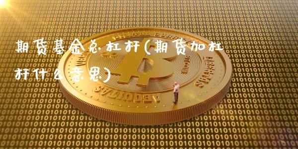 期货基金总杠杆(期货加杠杆什么意思)_https://www.gzshoujun.com_期货理财_第1张