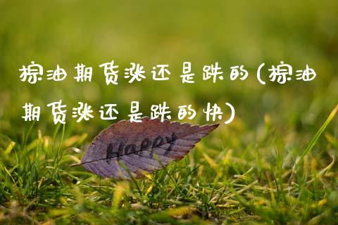 棕油期货涨还是跌的(棕油期货涨还是跌的快)_https://www.gzshoujun.com_期货开户_第1张