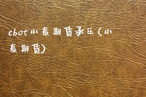 cbot小麦期货承压(小麦期货)_https://www.gzshoujun.com_期货交易所_第1张