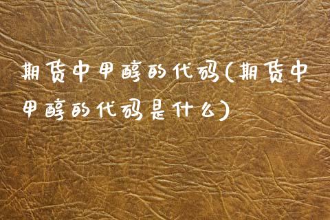 期货中甲醇的代码(期货中甲醇的代码是什么)_https://www.gzshoujun.com_期货交易所_第1张