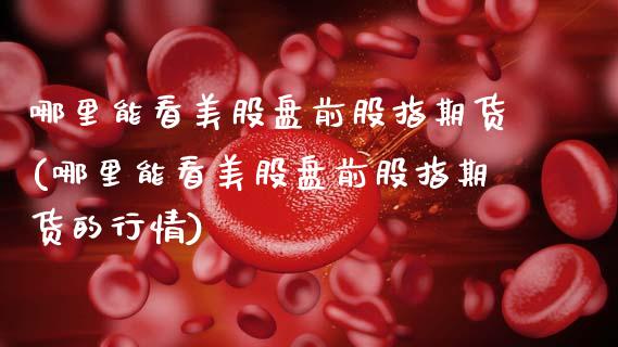 哪里能看美股盘前股指期货(哪里能看美股盘前股指期货的行情)_期货品种_第1张_首骏网 哪里能看美股盘前股指期货(哪里能看美股盘前股指期货的行情)_https://www.gzshoujun.com_期货品种_第1张