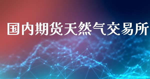 国内期货天然气交易所_https://www.gzshoujun.com_期货行情_第1张