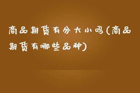商品期货有分大小吗(商品期货有哪些品种)_https://www.gzshoujun.com_期货直播_第1张