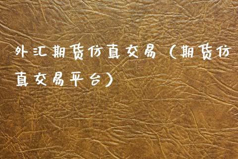 外汇期货仿真交易（期货仿真交易平台）_https://www.gzshoujun.com_期货交易所_第1张