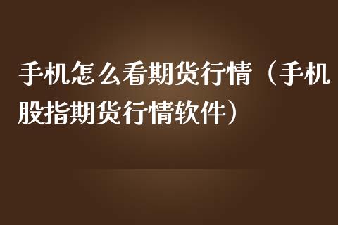 怎么看期货行情（股指期货行情软件）_https://www.gzshoujun.com_期货交易所_第1张