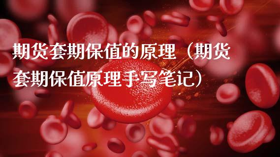 期货套期保值的原理（期货套期保值原理手写笔记）_https://www.gzshoujun.com_期货直播_第1张