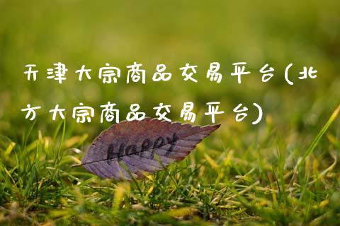 天津大宗商品交易平台(北方大宗商品交易平台)_https://www.gzshoujun.com_国际期货_第1张